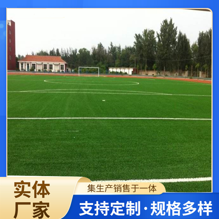 新乡市人造草坪人造草坪 - 价格